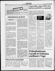 Síða 6