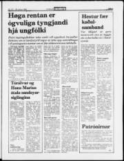 Síða 3