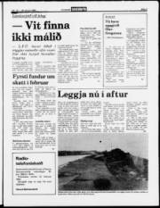 Síða 5