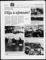 Síða 14
