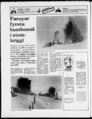 Síða 24