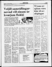 Síða 3