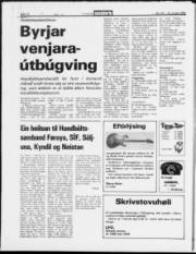 Síða 12