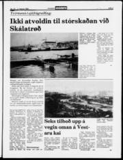 Síða 5