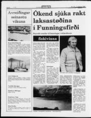 Síða 8