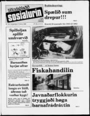 Síða 1