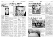 Síða 14