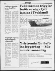 Síða 2