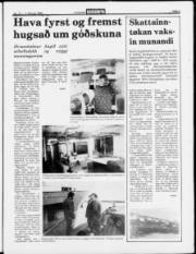 Síða 3