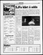 Síða 7