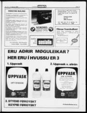 Síða 13