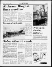 Síða 5