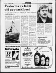 Síða 3