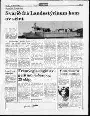 Síða 5