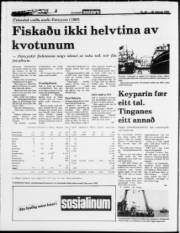 Síða 4
