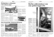 Síða 6