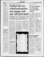 Síða 2