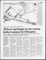 Síða 3