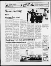 Síða 12