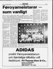 Síða 11