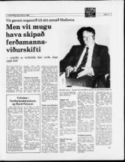 Síða 11
