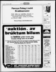 Síða 17