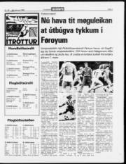 Síða 7