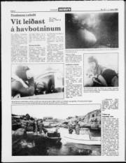 Síða 8