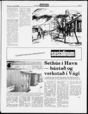 Síða 3