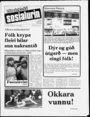 Síða 1
