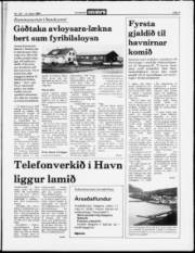 Síða 3