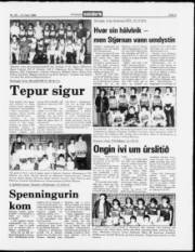 Síða 9