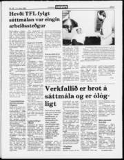 Síða 3