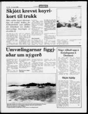 Síða 5