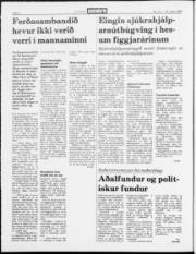 Síða 2