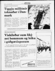Síða 5