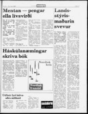 Síða 17