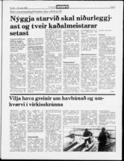 Síða 3