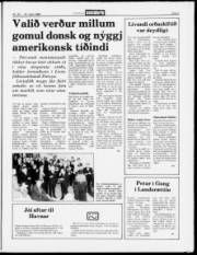 Síða 5