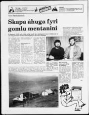 Síða 16