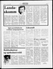Síða 7