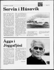 Síða 11