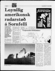 Síða 12