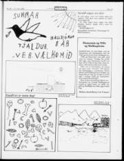 Síða 19