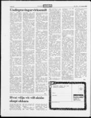 Síða 20