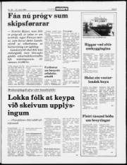 Síða 5