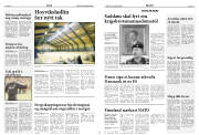 Síða 14