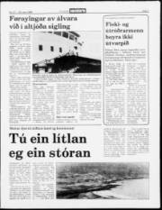 Síða 7