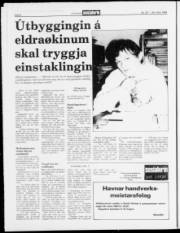 Síða 8