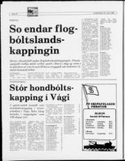 Síða 10